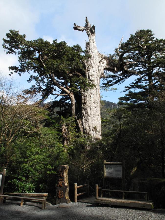 Hotel Yakushima Sanso Exteriér fotografie